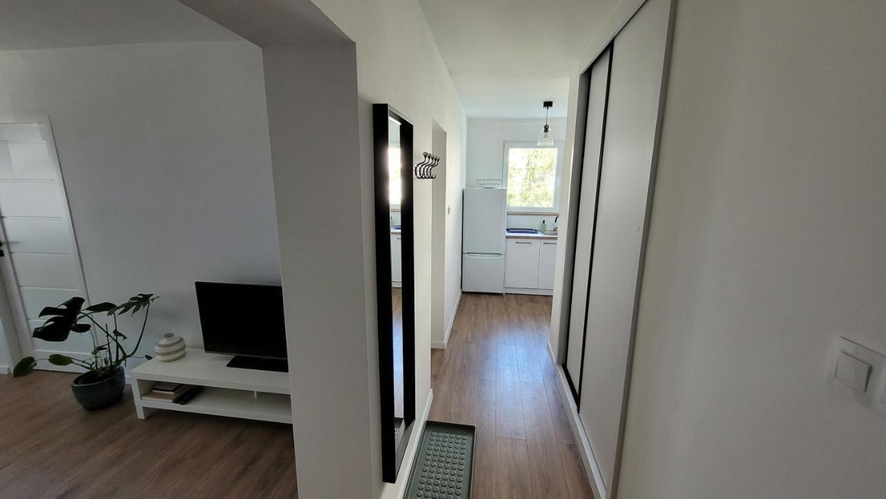 Appartement Apartament Duo à Malbork Extérieur photo